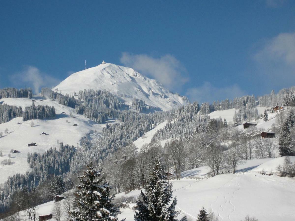 Appartements Bachler Brixen im Thale Exteriör bild